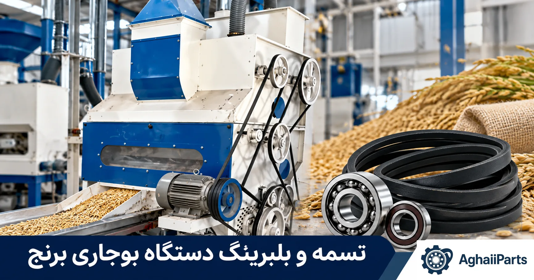 تسمه انتقال قدرت و بلبرینگ دستگاه بوجاری شلتوک برنج در کارخانه شالیکوبی